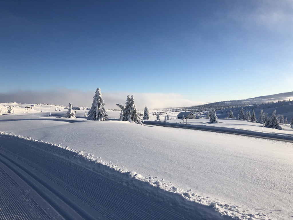 Mountain Plateau Trail